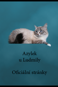 Azýlek u Ludmily, Občanské sdružení - Aukce Azýlek u Ludmily, Občanské sdružení - Aukce
