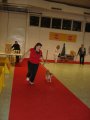 Pedigree Cup Pedigree Cup