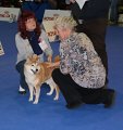 7. 2. 2016, předvedení: Zdenka Entlerová, foto: Edita Šubrtová 7. 2. 2016, předvedení: Zdenka Entlerová, foto: Edita Šubrtová